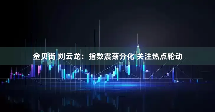 金贝街 刘云龙：指数震荡分化 关注热点轮动