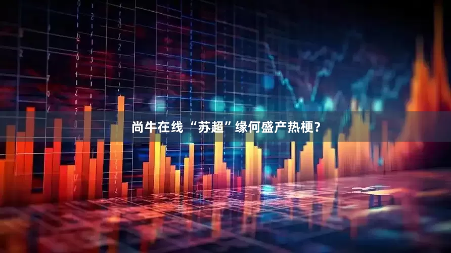 尚牛在线 “苏超”缘何盛产热梗？