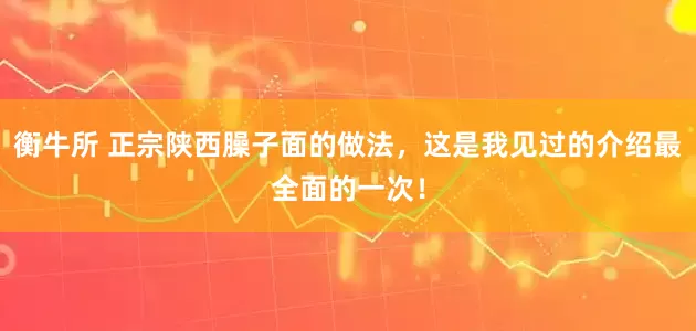 衡牛所 正宗陕西臊子面的做法，这是我见过的介绍最全面的一次！